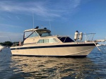 Sonnenverdeck mit Bügel und Seitenteilen für Chris-Craft 250